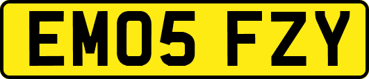 EM05FZY