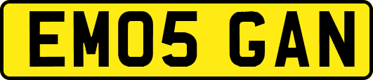 EM05GAN