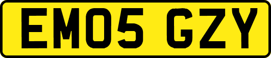 EM05GZY