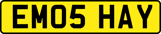 EM05HAY