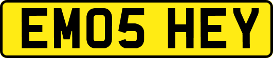 EM05HEY