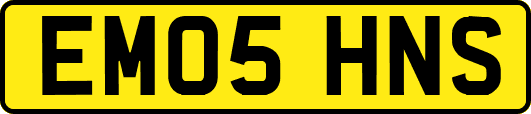 EM05HNS
