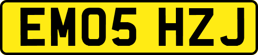 EM05HZJ