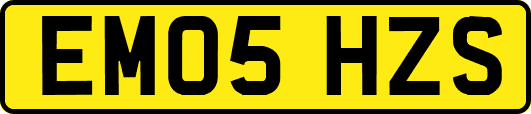 EM05HZS
