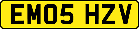 EM05HZV