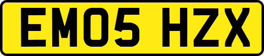 EM05HZX