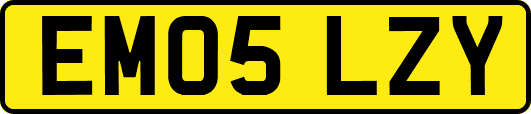 EM05LZY