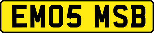 EM05MSB