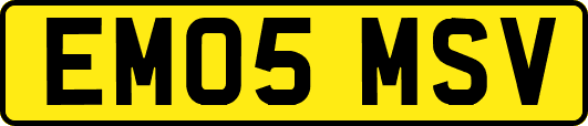 EM05MSV