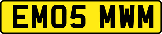 EM05MWM
