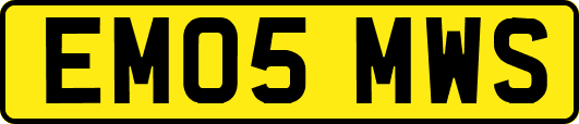 EM05MWS