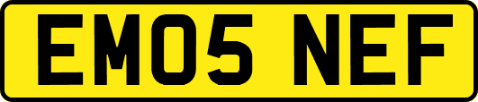 EM05NEF