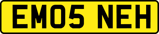 EM05NEH