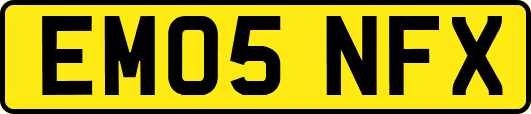 EM05NFX