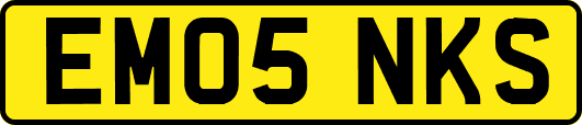 EM05NKS