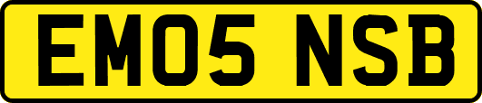 EM05NSB