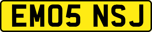 EM05NSJ