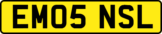 EM05NSL