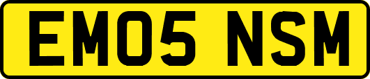 EM05NSM