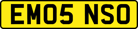 EM05NSO
