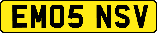 EM05NSV