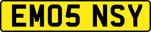 EM05NSY