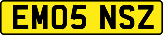 EM05NSZ