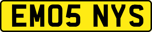 EM05NYS