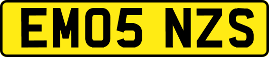 EM05NZS