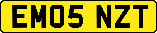 EM05NZT
