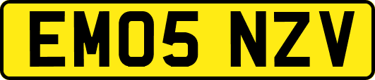 EM05NZV