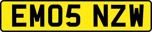 EM05NZW