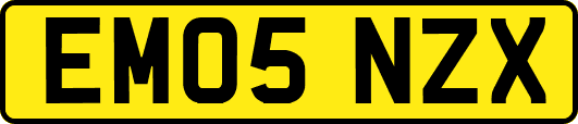 EM05NZX
