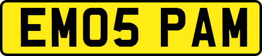 EM05PAM