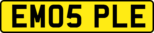 EM05PLE