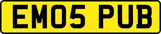 EM05PUB