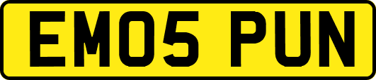 EM05PUN