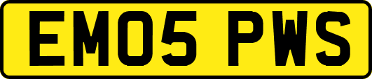 EM05PWS