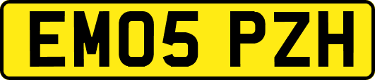 EM05PZH