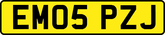 EM05PZJ