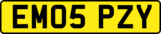 EM05PZY