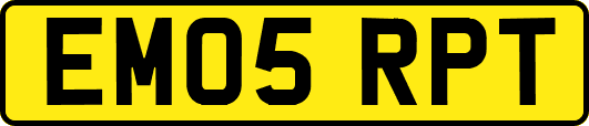 EM05RPT