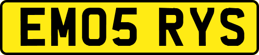 EM05RYS
