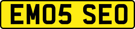 EM05SEO