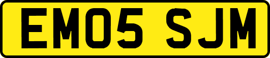 EM05SJM