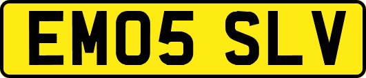 EM05SLV