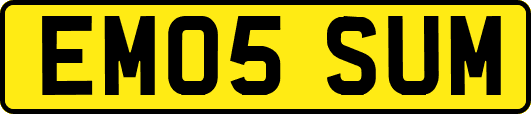 EM05SUM