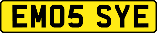 EM05SYE