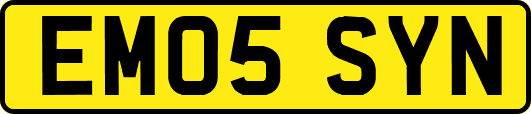 EM05SYN