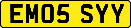 EM05SYY